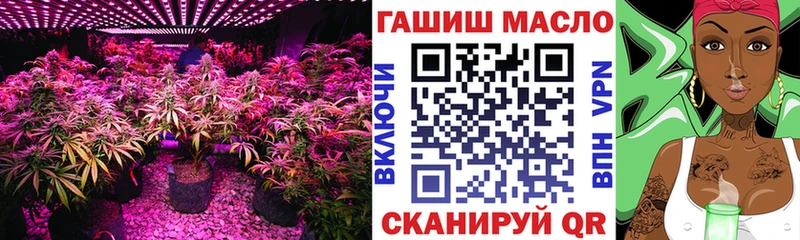 ТГК концентрат  купить наркоту  ссылка на мегу   Суворов 